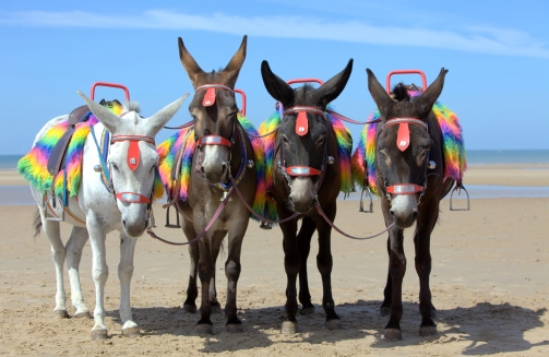 Conference Management in Blackpool'